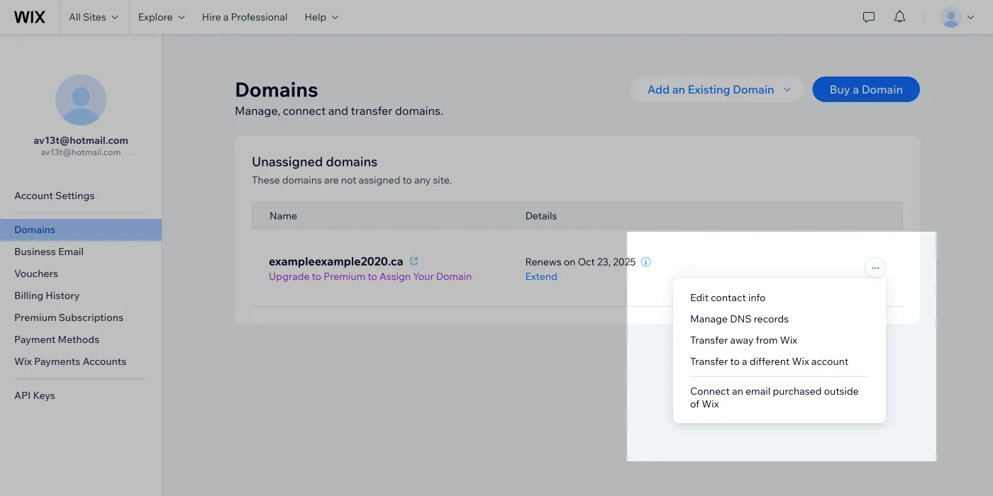 Go to Account Settings > Domain > …> Manage DNS records 